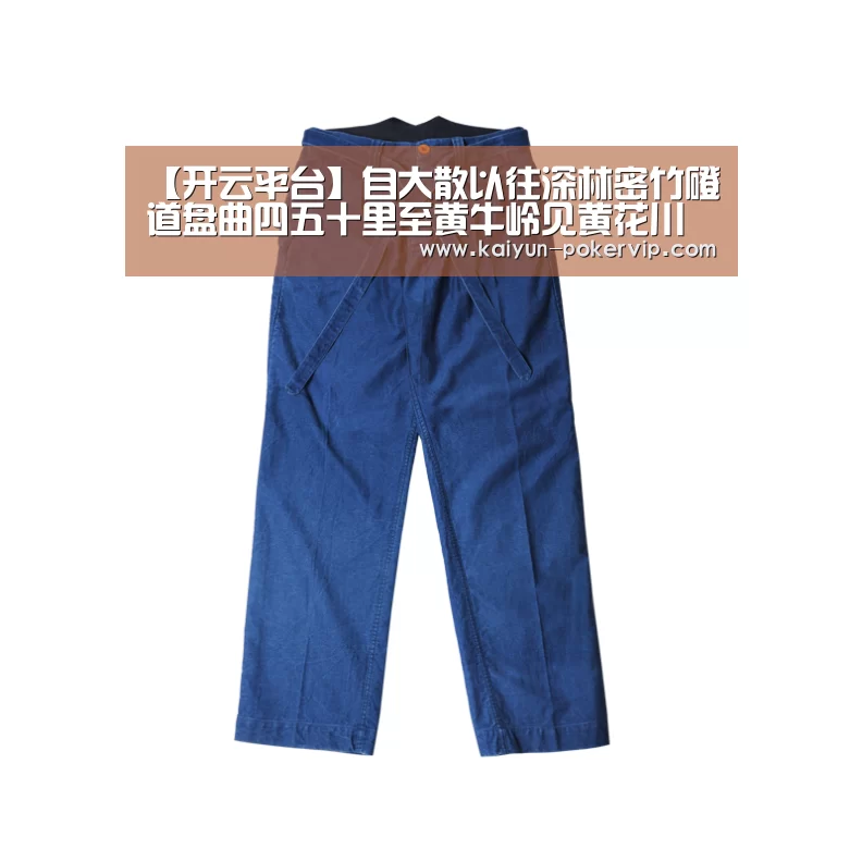 【开云平台】自大散以往深林密竹磴道盘曲四五十里至黄牛岭见黄花川(图3) 开云入口